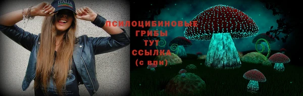 твердый Абаза