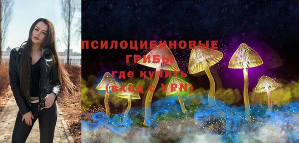 твердый Абаза
